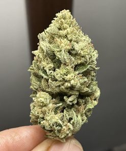 Afghan Kush