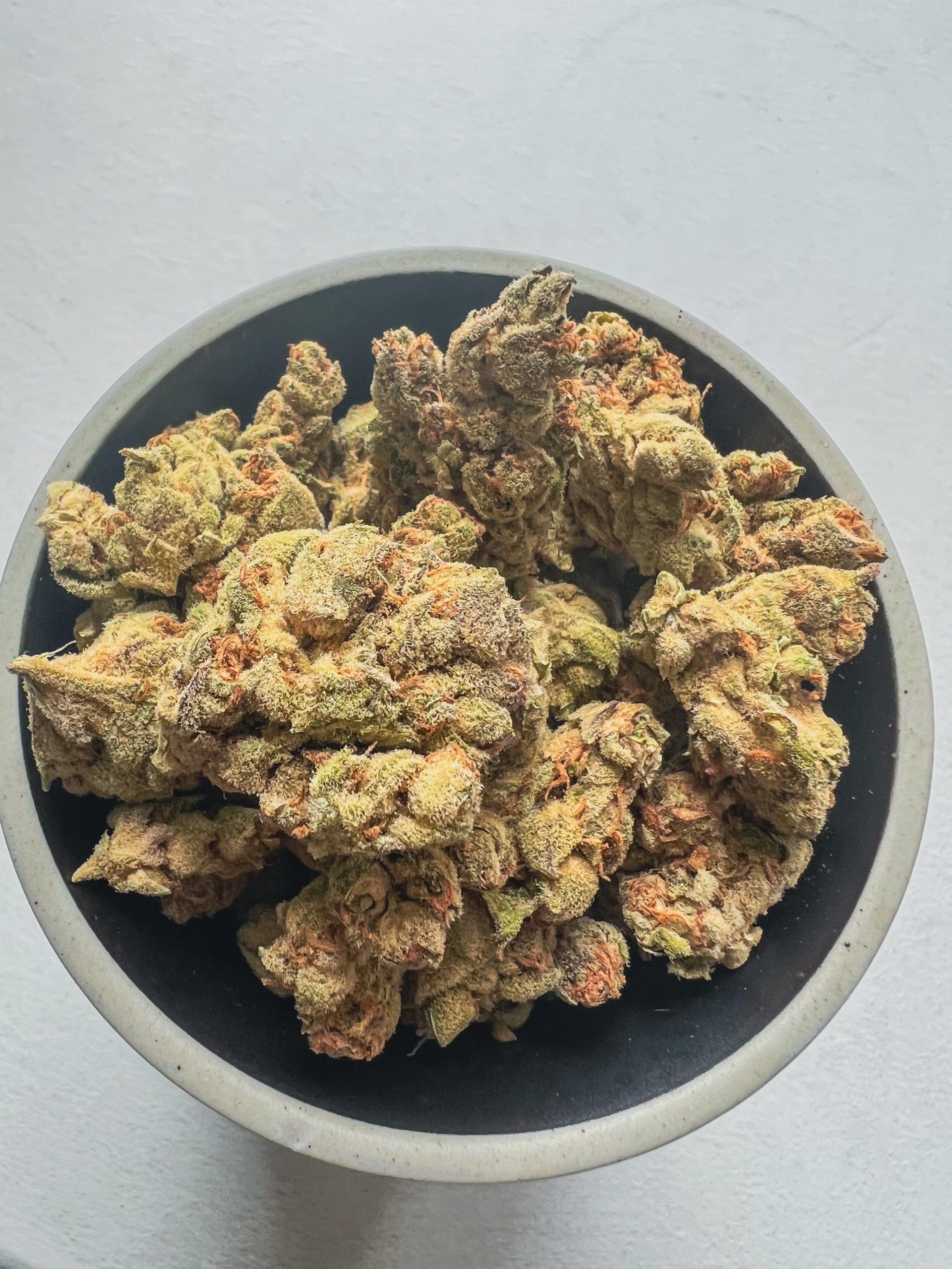 Black Cherry Punch Strain 1 Black Cherry Punch Strain