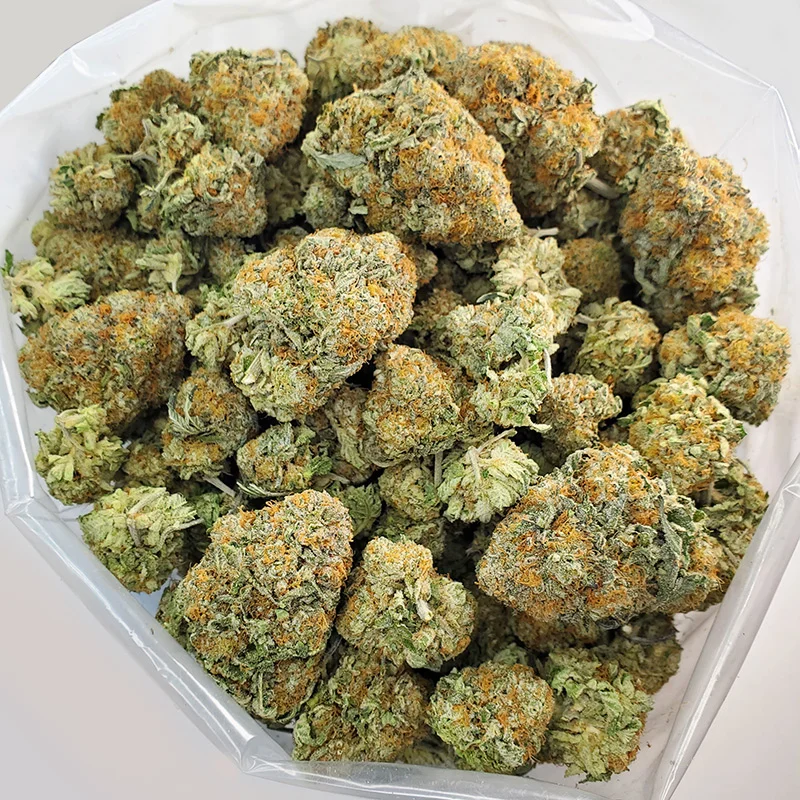 Blue Cheese Strain 1 Blue Cheese Strain