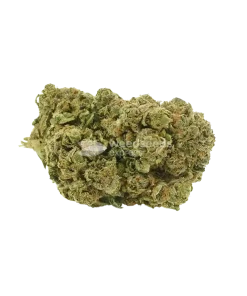 Blue Cheese Strain