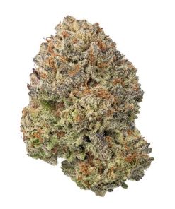 Blue Cheese Strain