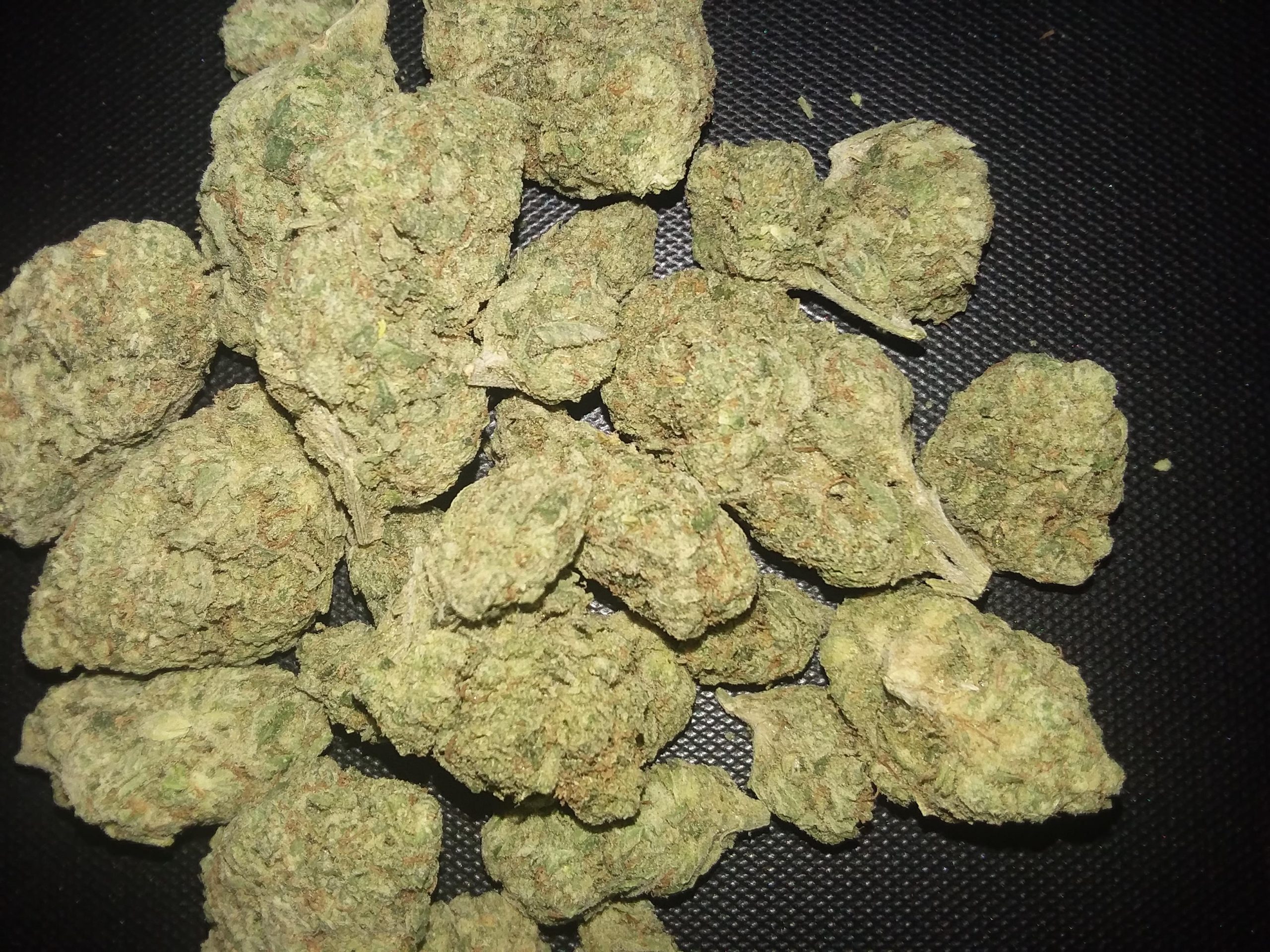 Fat Banana Kush Fat Banana Kush