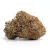 Hindu Kush Strain