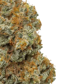 Northern Lights strain