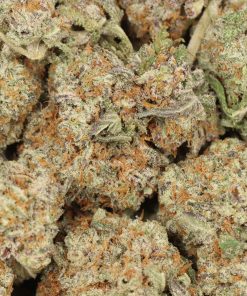 Northern Lights strain