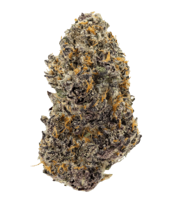 Purple Kush Strain
