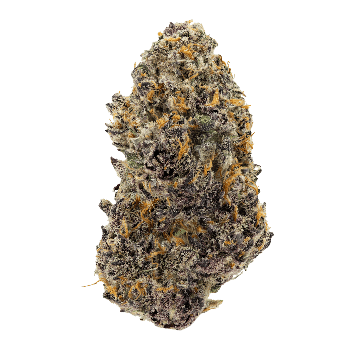 Purple-Kush-WEB-1 Purple Kush Strain
