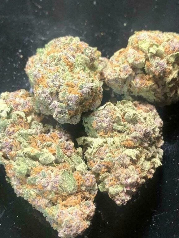 Zkittles Strain 1 Zkittles Strain
