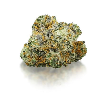Fat Banana Kush Fat Banana Kush