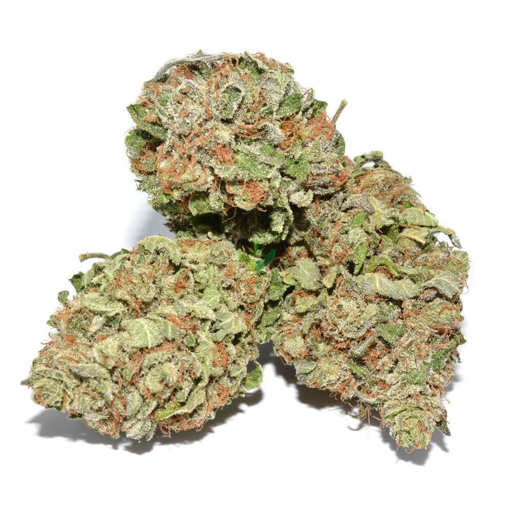 purple_kush.jpg Purple Kush Strain