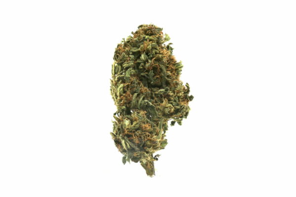 mango-kush-600x400-1.jpeg mango kush