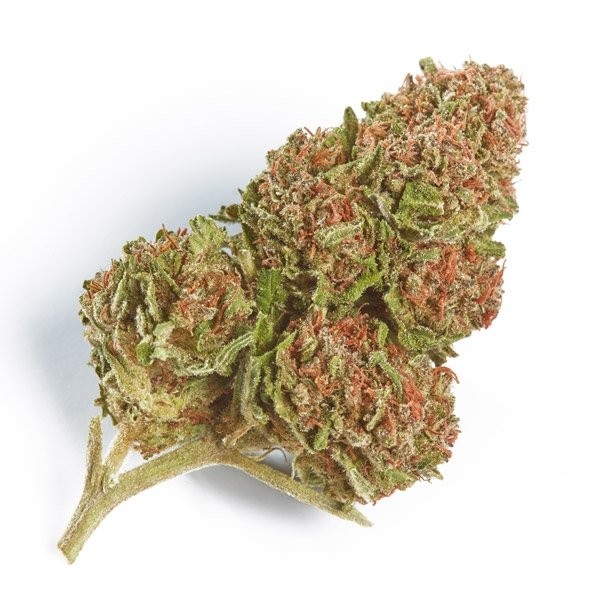northern-lights.jpg Northern Lights strain