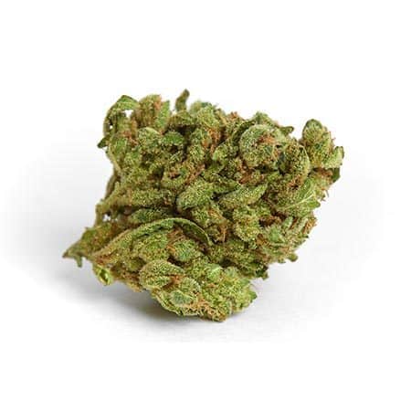 wol_banana-bread-cannabis-strain-review_450.jpg Blue Cheese Strain