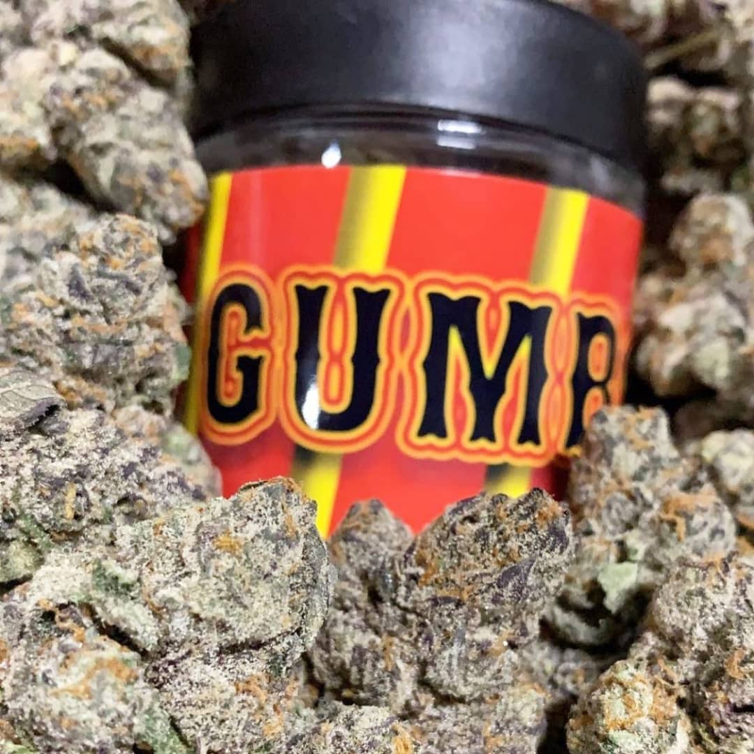 Gumbo Strain Gumbo Strain