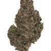 BISCOTTI RUNTZ (INDOOR) THC-A Flower