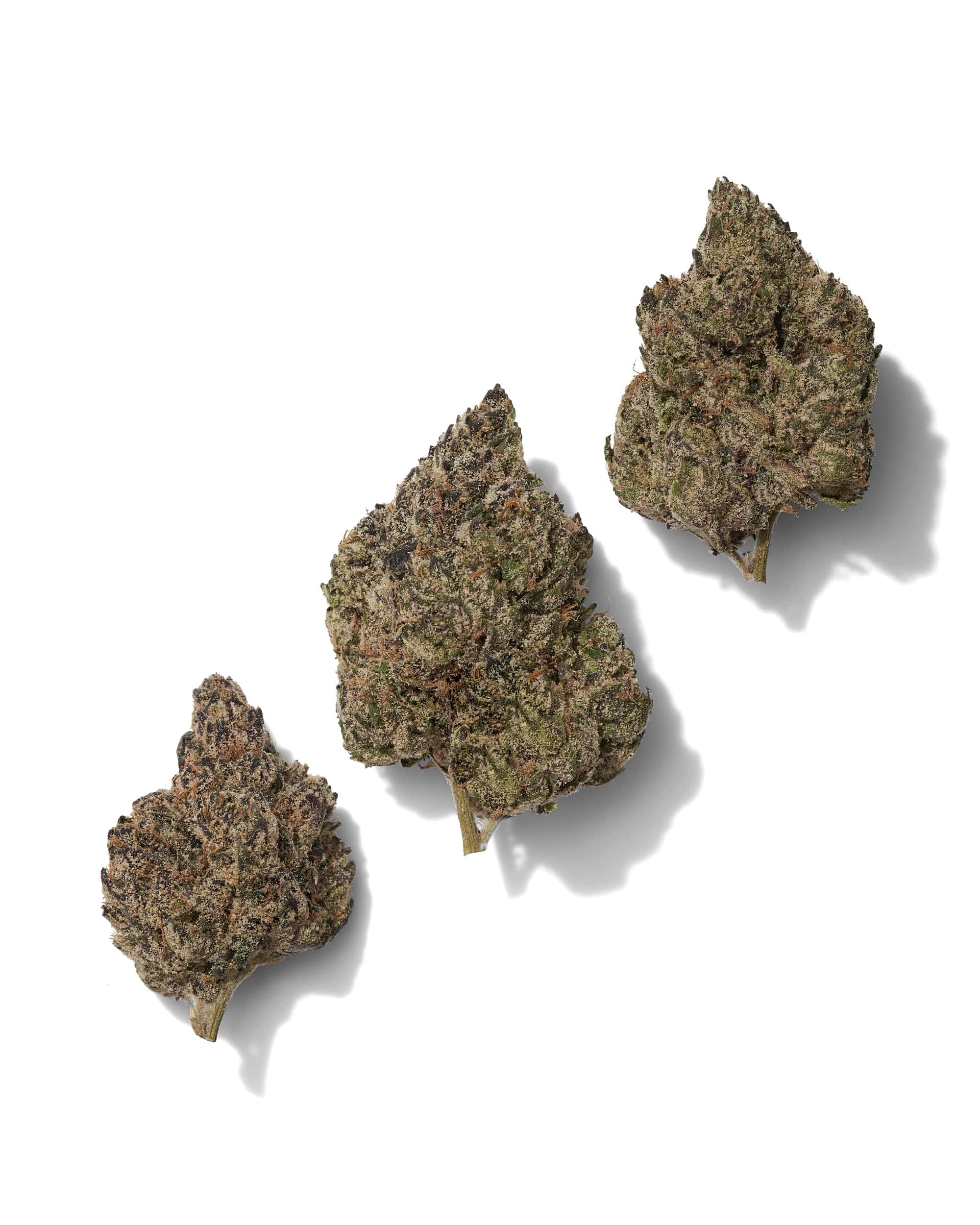 BlackTie-BlackRuntzTHCAflower_threebudsonwhitebackgroundv2