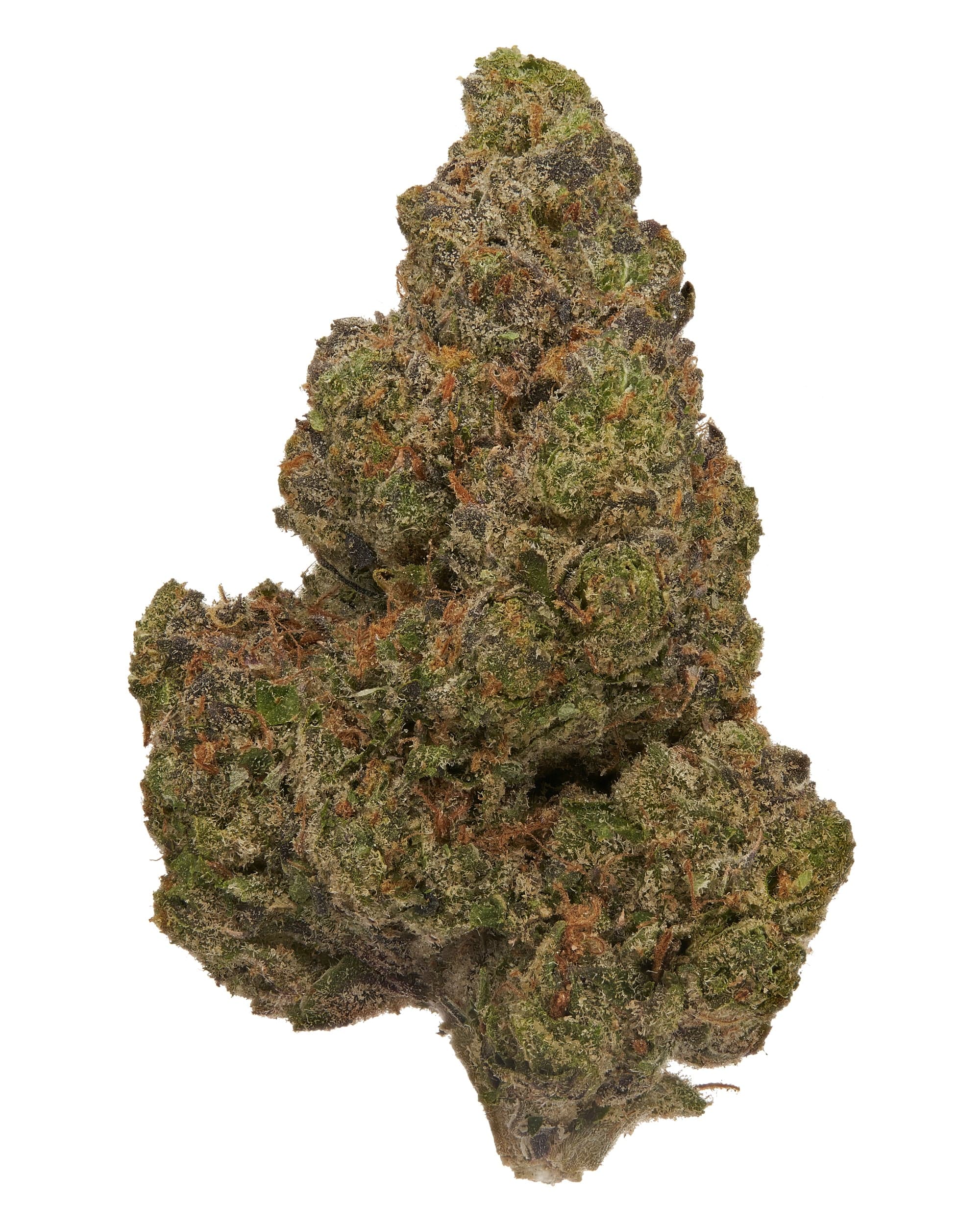 BlackTie-BlueNerdz_macrobudcloseupshotonwhitebackground blue nerds thca flower