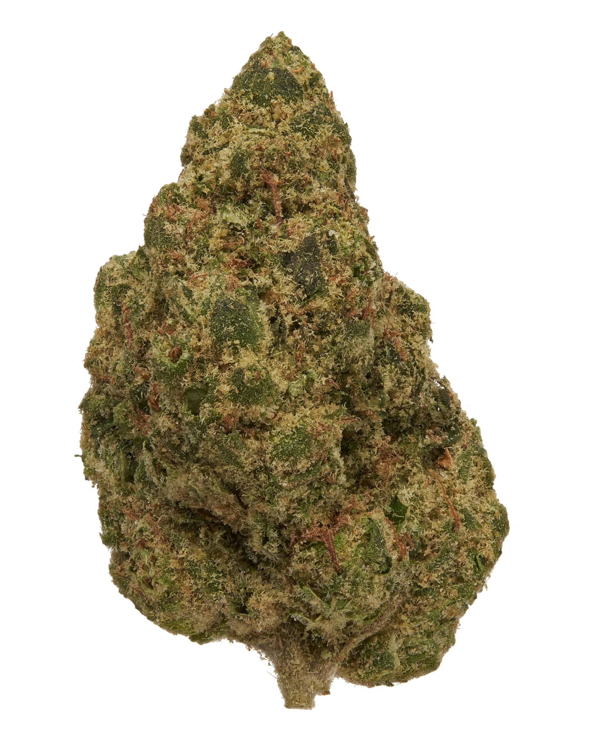 Garlic Breath Strain Garlic Breath Strain