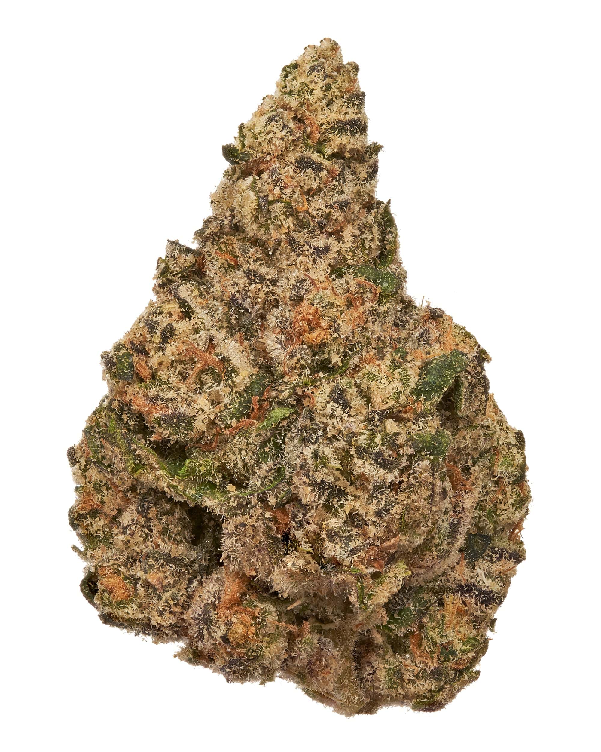 Gas Face Strain Gas Face Strain