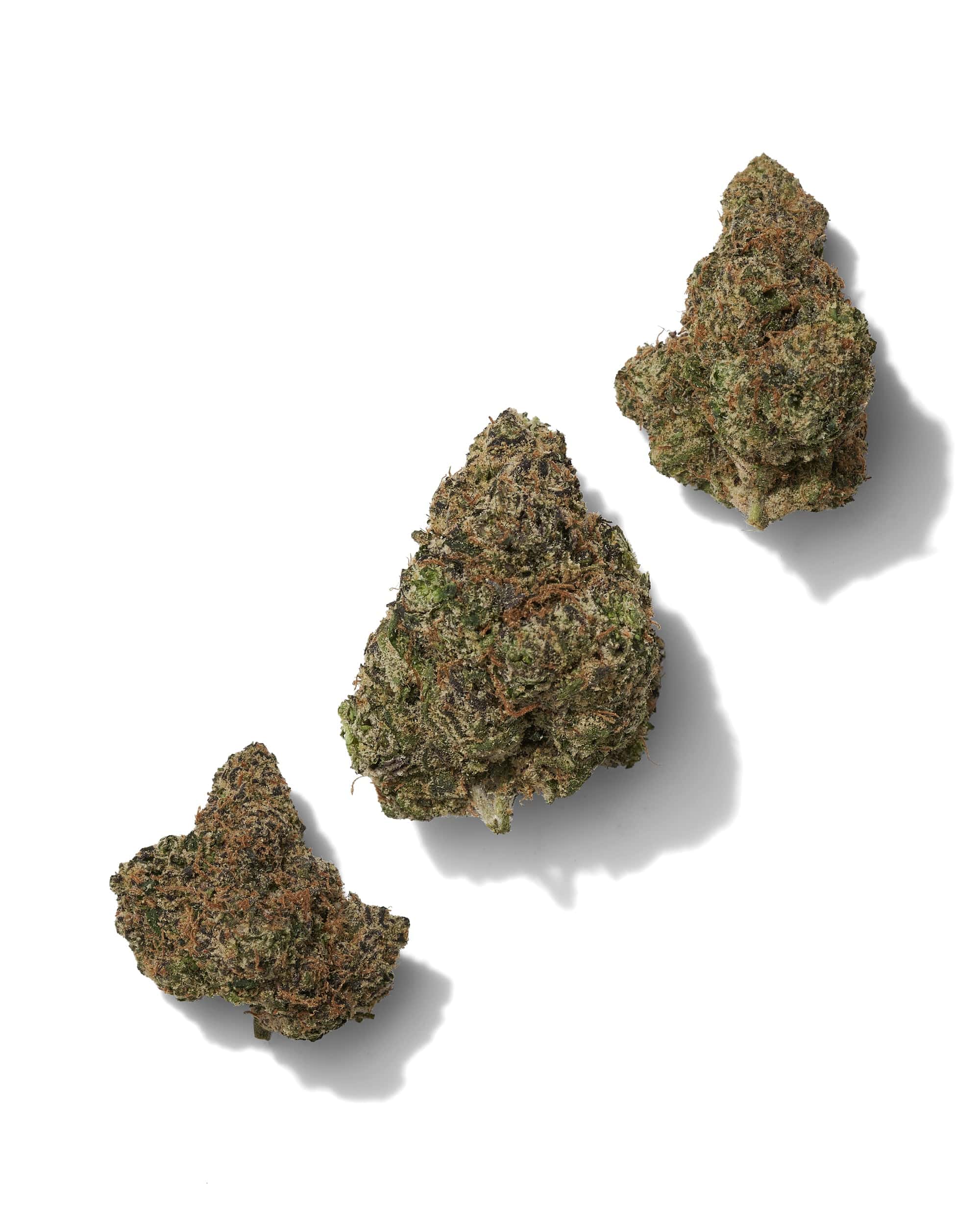 BlackTie-KandiezTHCAflower_threebudsonwhitebackgroundv2 (1)