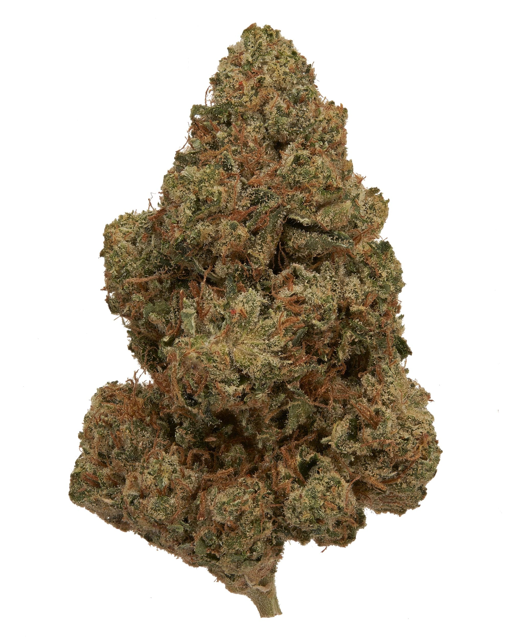 Louis XIII OG Strain Louis XIII OG Strain