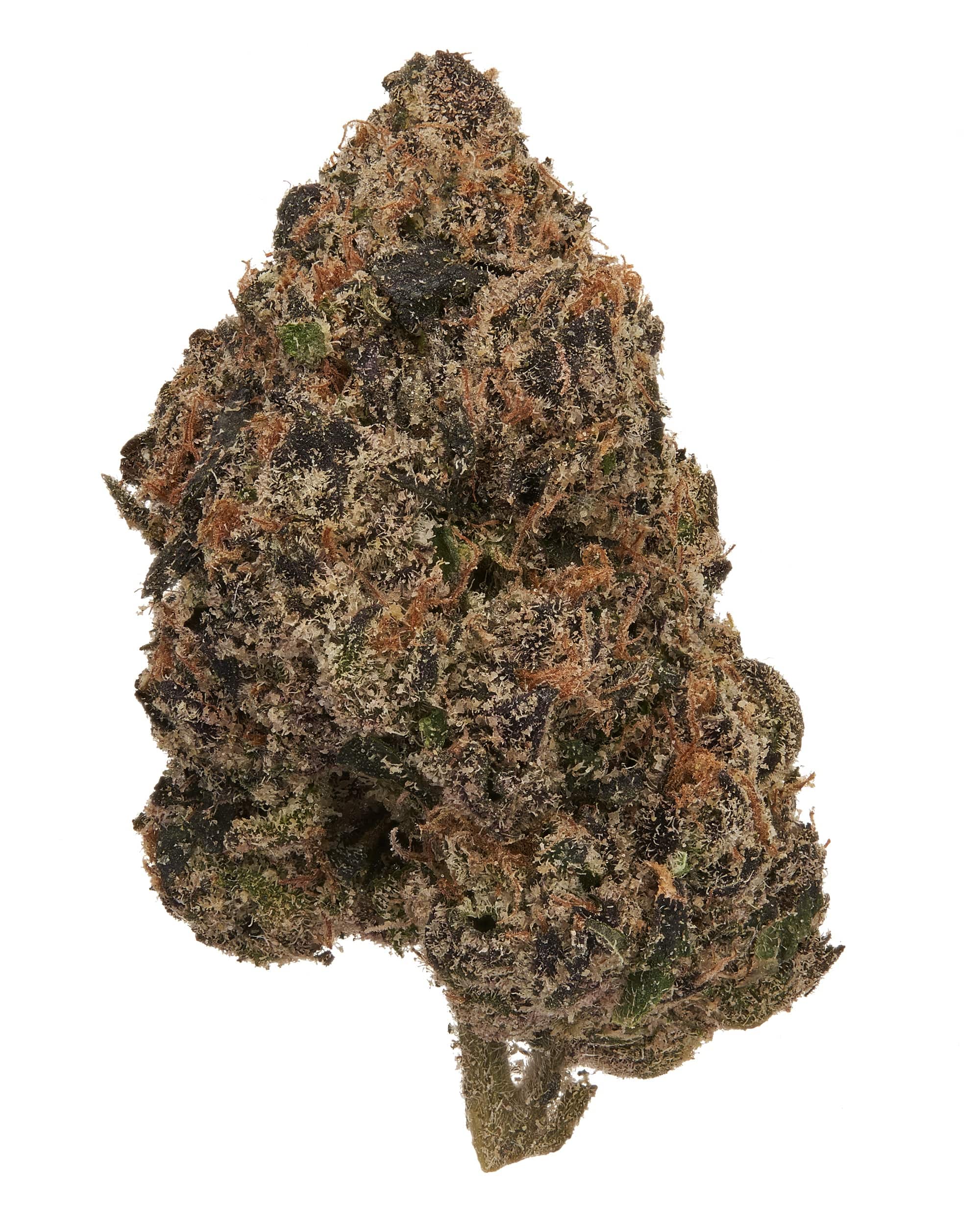 Lemon Cherry Gelato Lemon Cherry Gelato