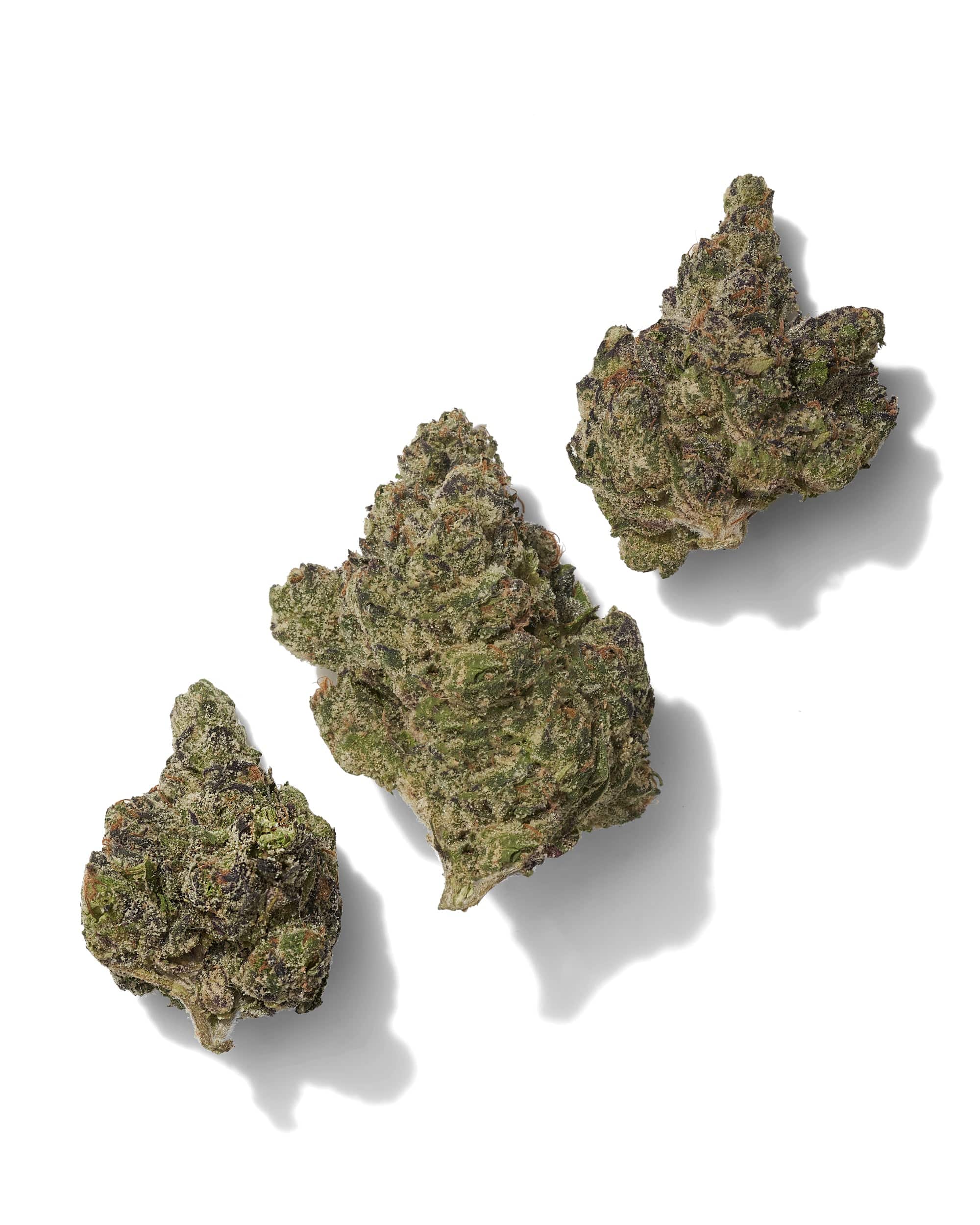 BlackTie-MobTHCAflower_threebudsonwhitebackgroundv2