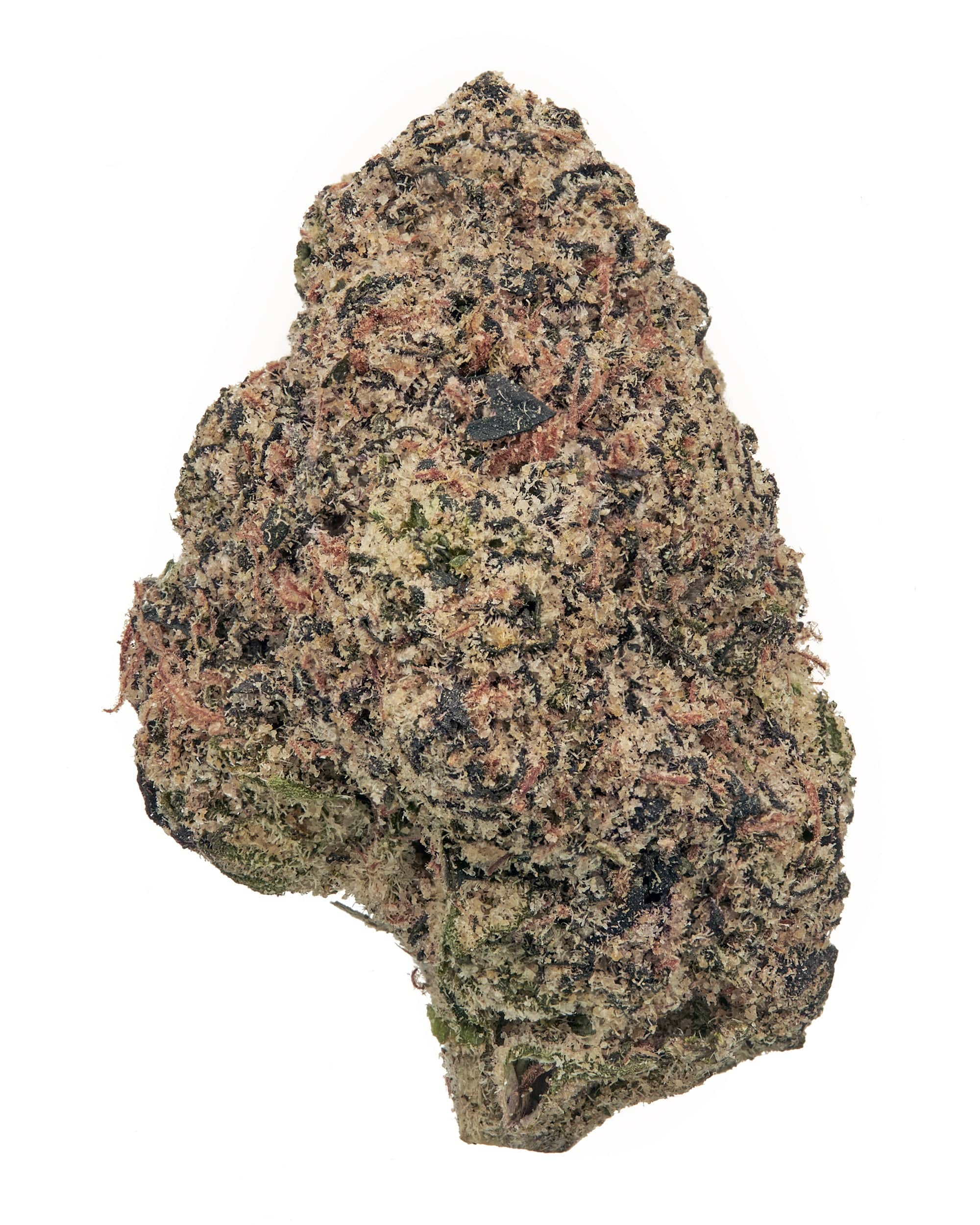 Black_Tie_-_Archive_Runtz_flower_solo_bud_on_white_background