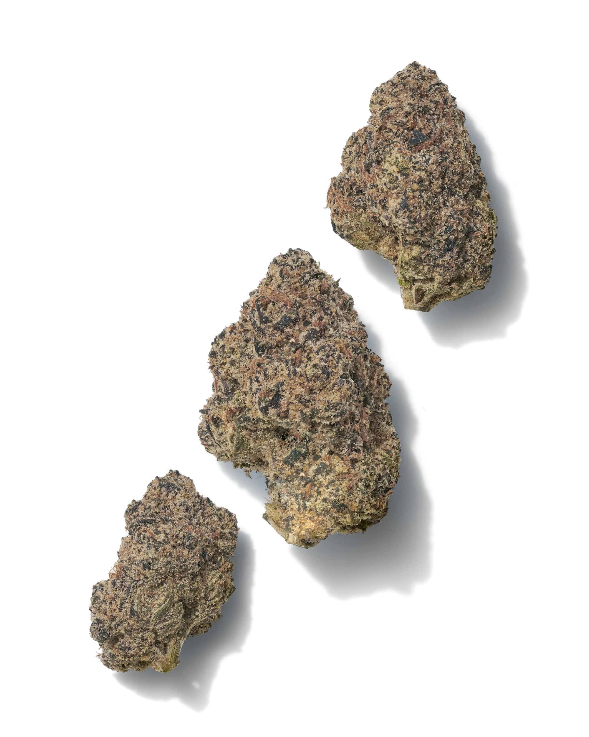 Black_Tie_-_Archive_Runtz_flower_trio_of_buds_on_white_background