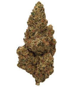 Blue Meteorite Strain