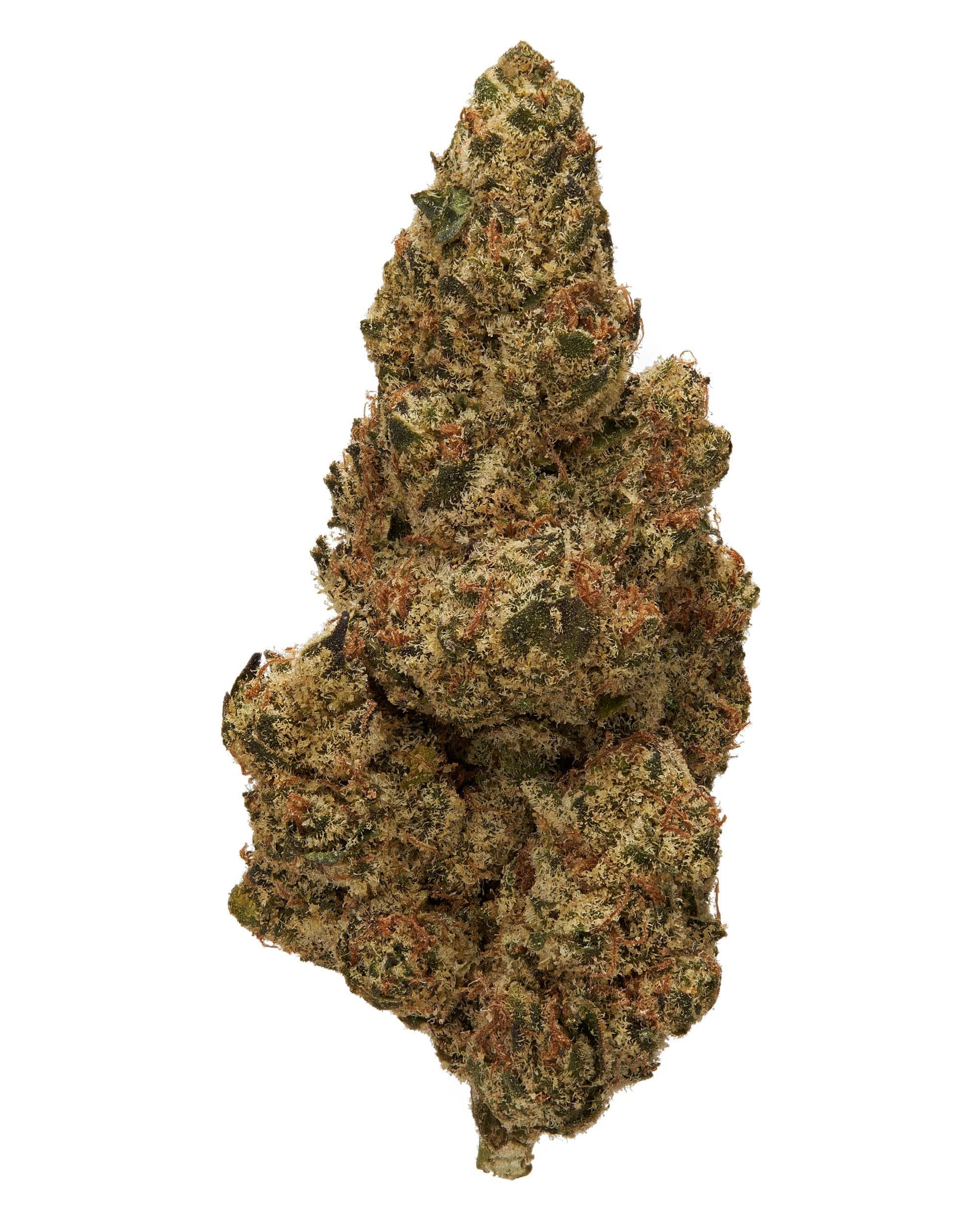 Blue Meteorite Strain