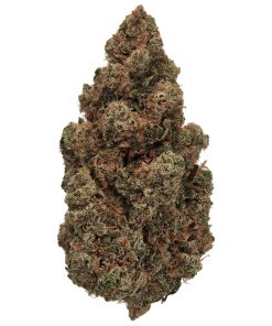 JACK HERER THC-A Flower