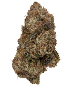 Lemon Cherry Gelato