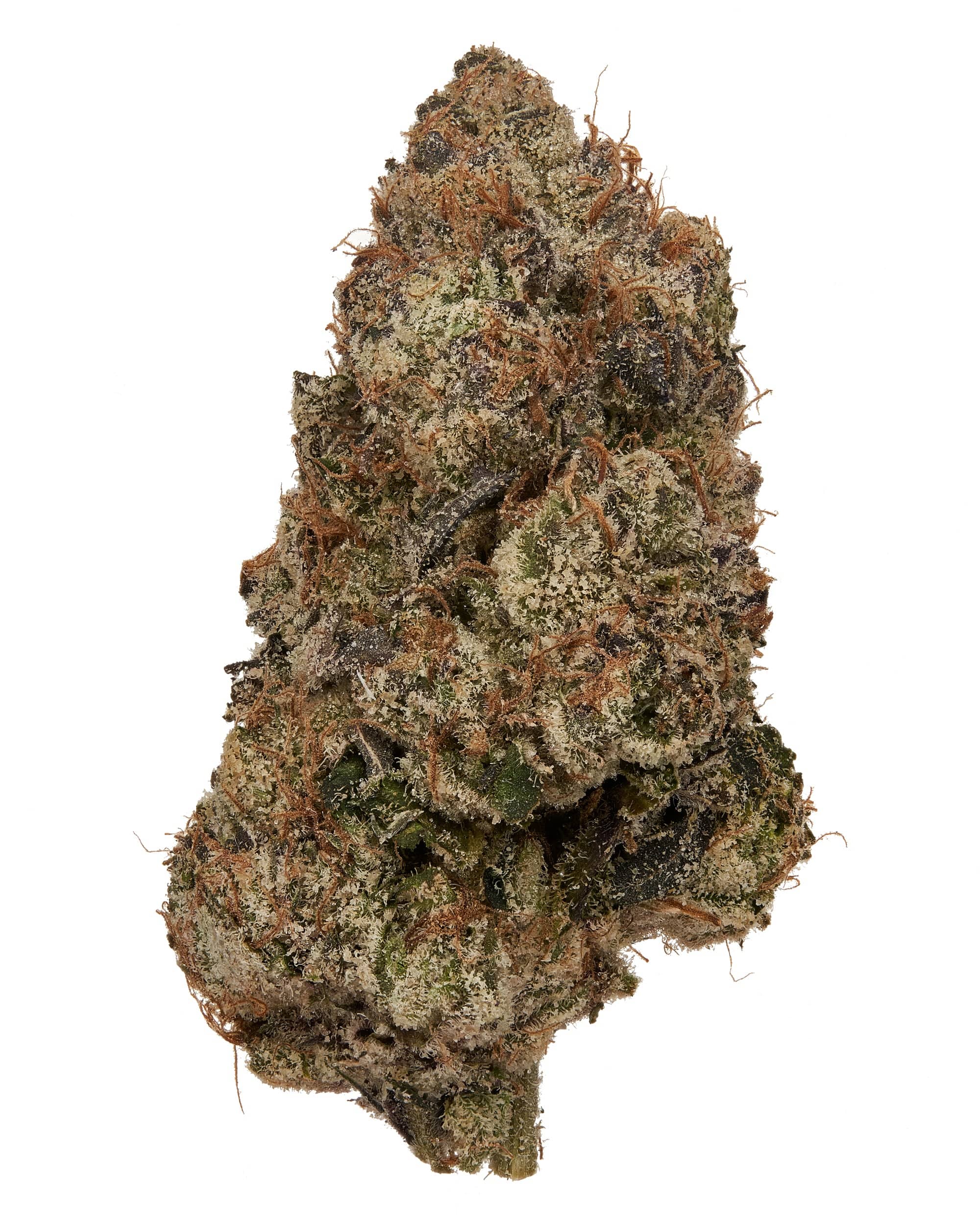 Lemon Cherry Gelato Lemon Cherry Gelato
