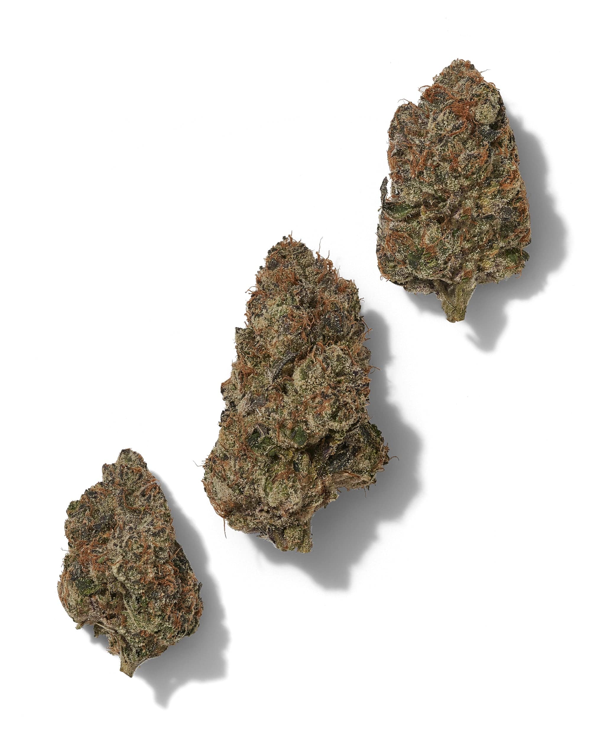 Black_Tie_-_Lemon_Cherry_Gelato_three_buds_on_white_background
