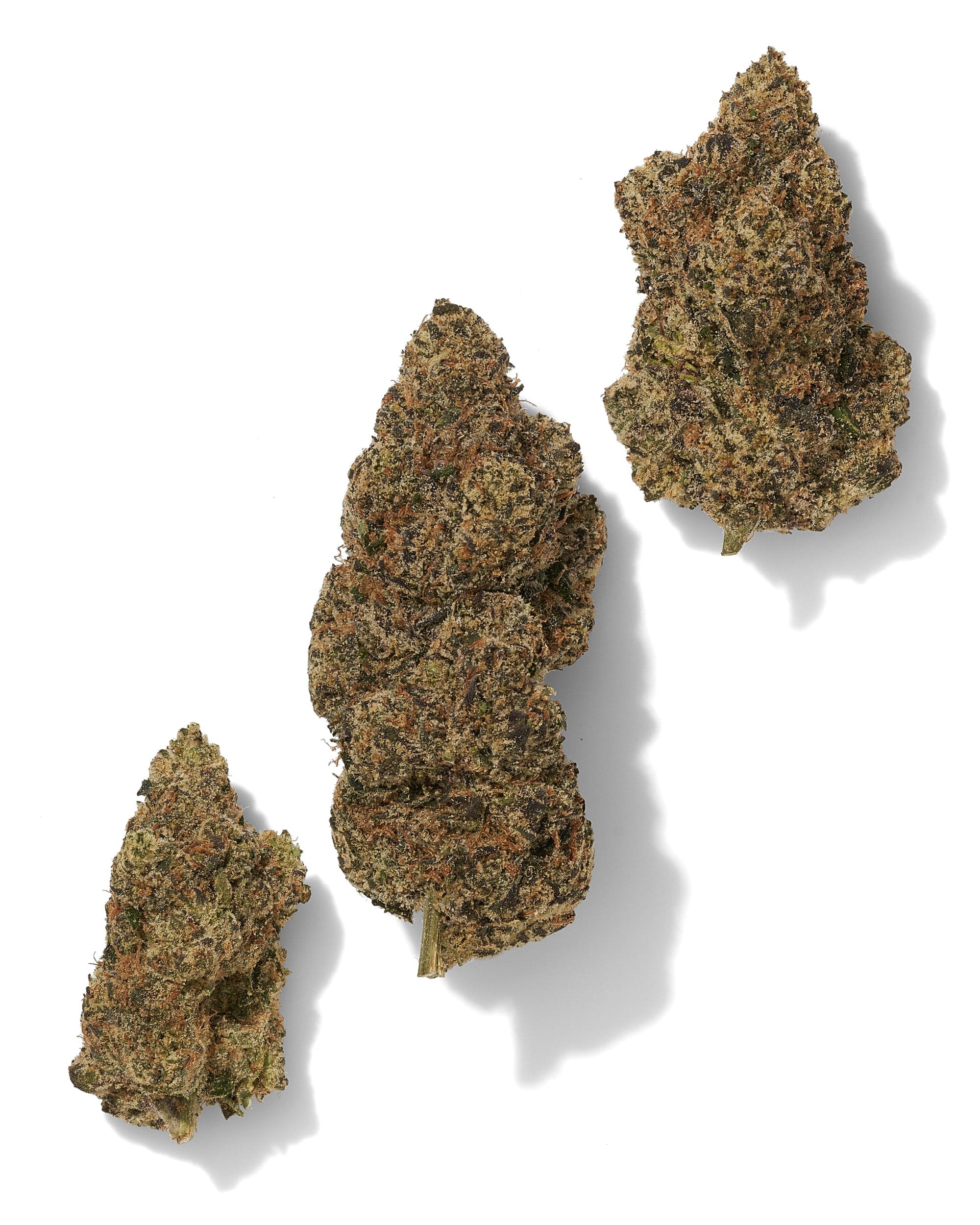 Black_Tie_-_Popeye_Runtz_three_buds_on_white_background