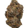 Sunset Sherbert