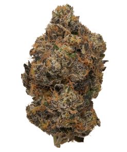 Sunset Sherbert