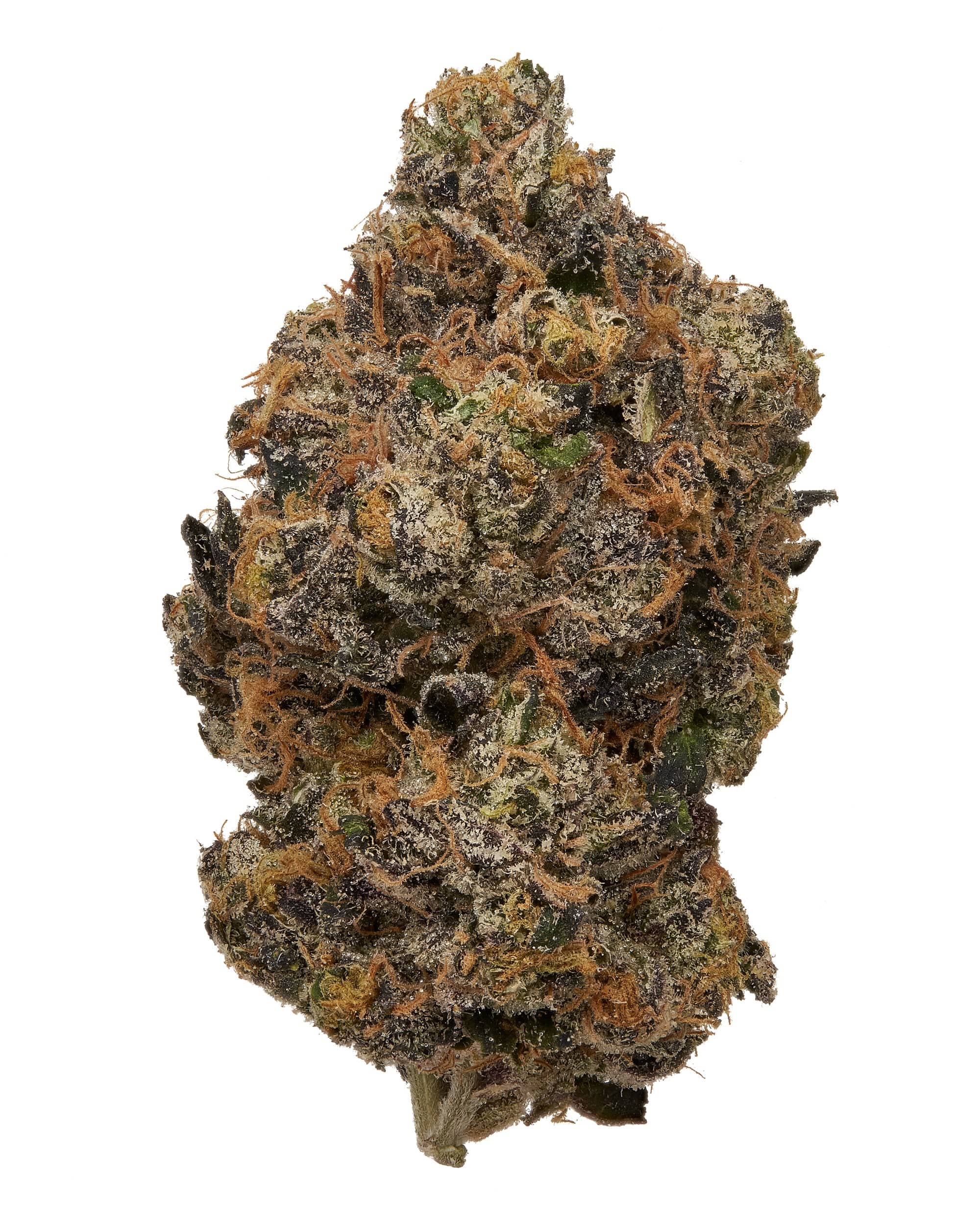 Sunset Sherbert Sunset Sherbert