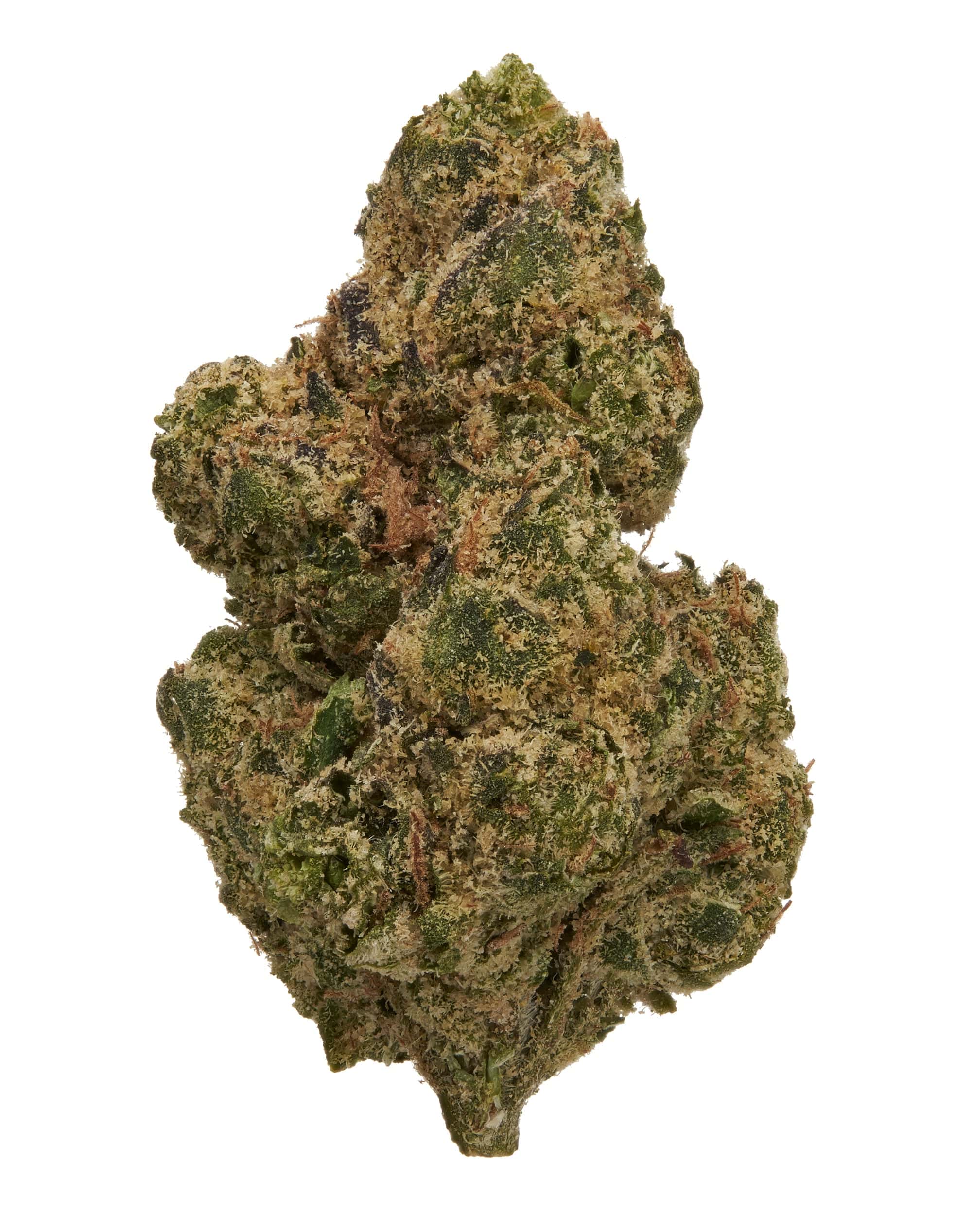 Black_Tie_-_Super_Lemon_Pop_THCA_flower_single_bud_product_shot_on_white_background_v2 Super Lemon Pop