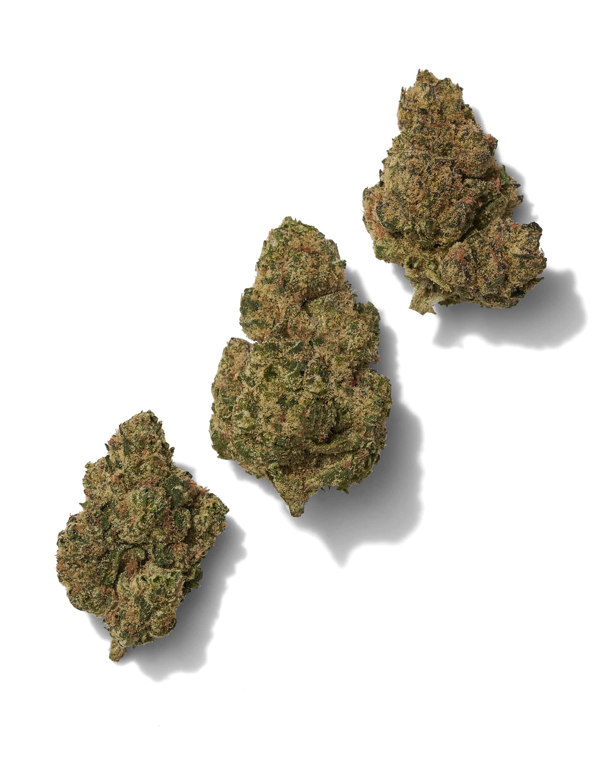 Black_Tie_-_Super_Lemon_Pop_THCA_flower_three_buds_on_white_background_v2