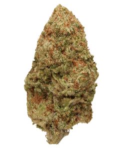 White Guava Strain