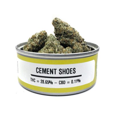 Cement Shoes Strain