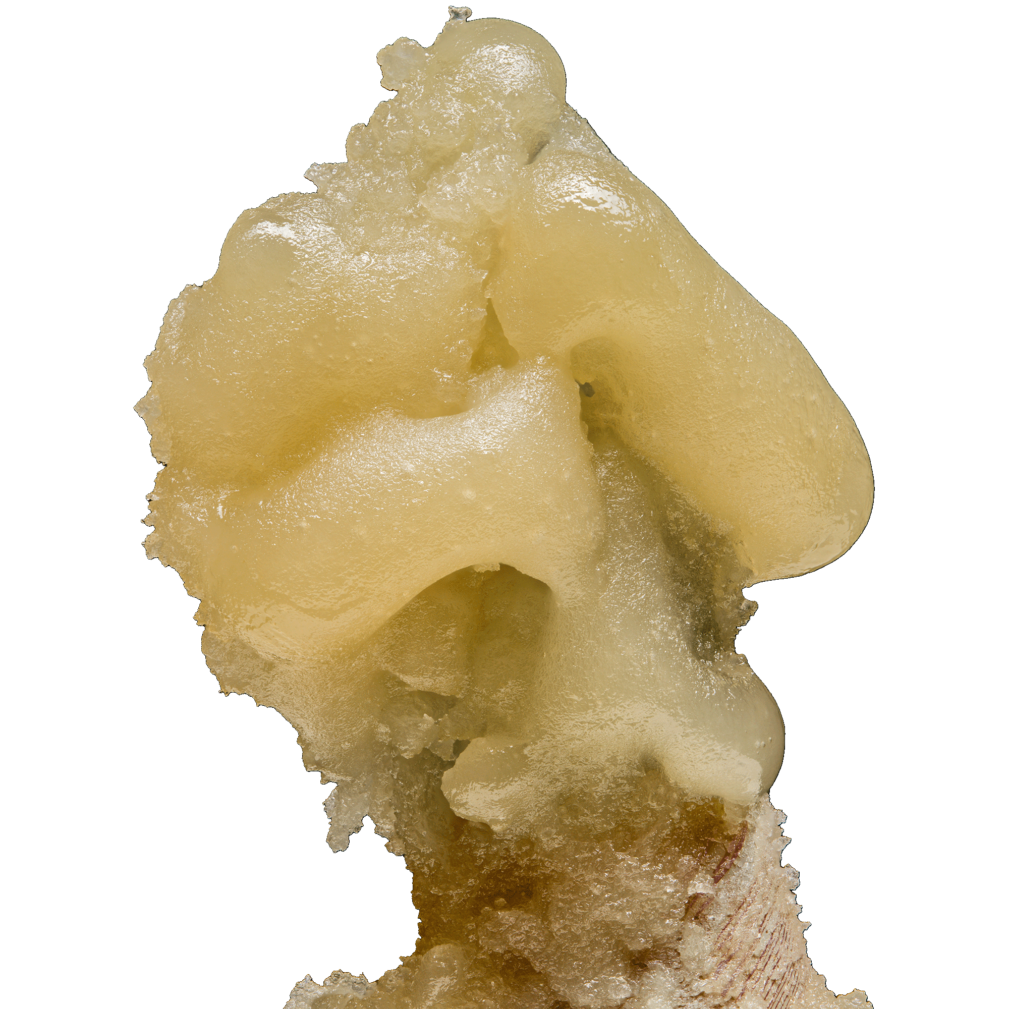 Live-Rosin-2k-Trans Ronin Live Hash Rosin