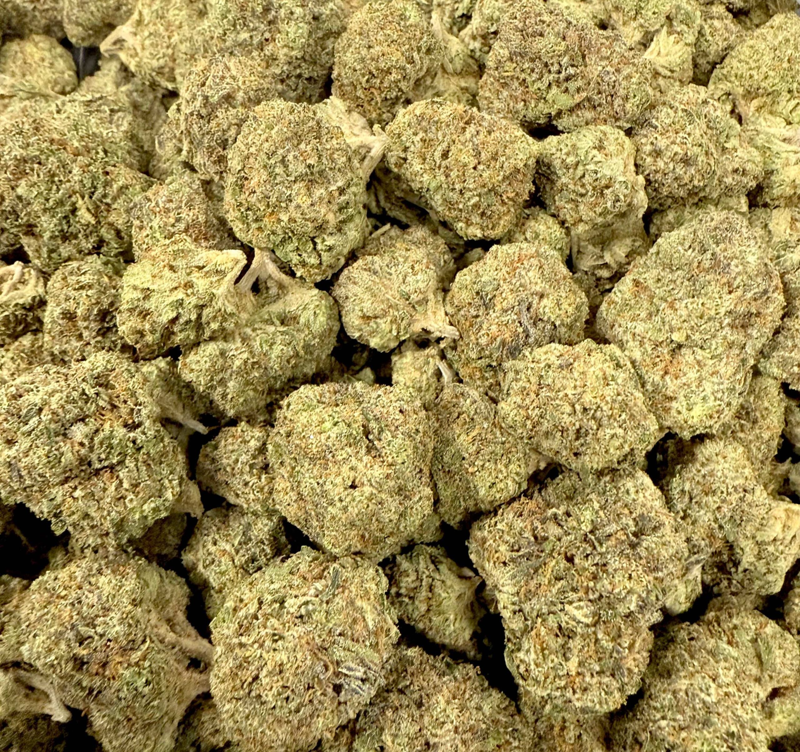 PRESSURE_GreenHouse_THC-AFlower_BlackTieCBD.Net_BulkImage_7d2b7522-37d4-4120-a746-3cb483dd591c