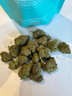 White Guava Strain
