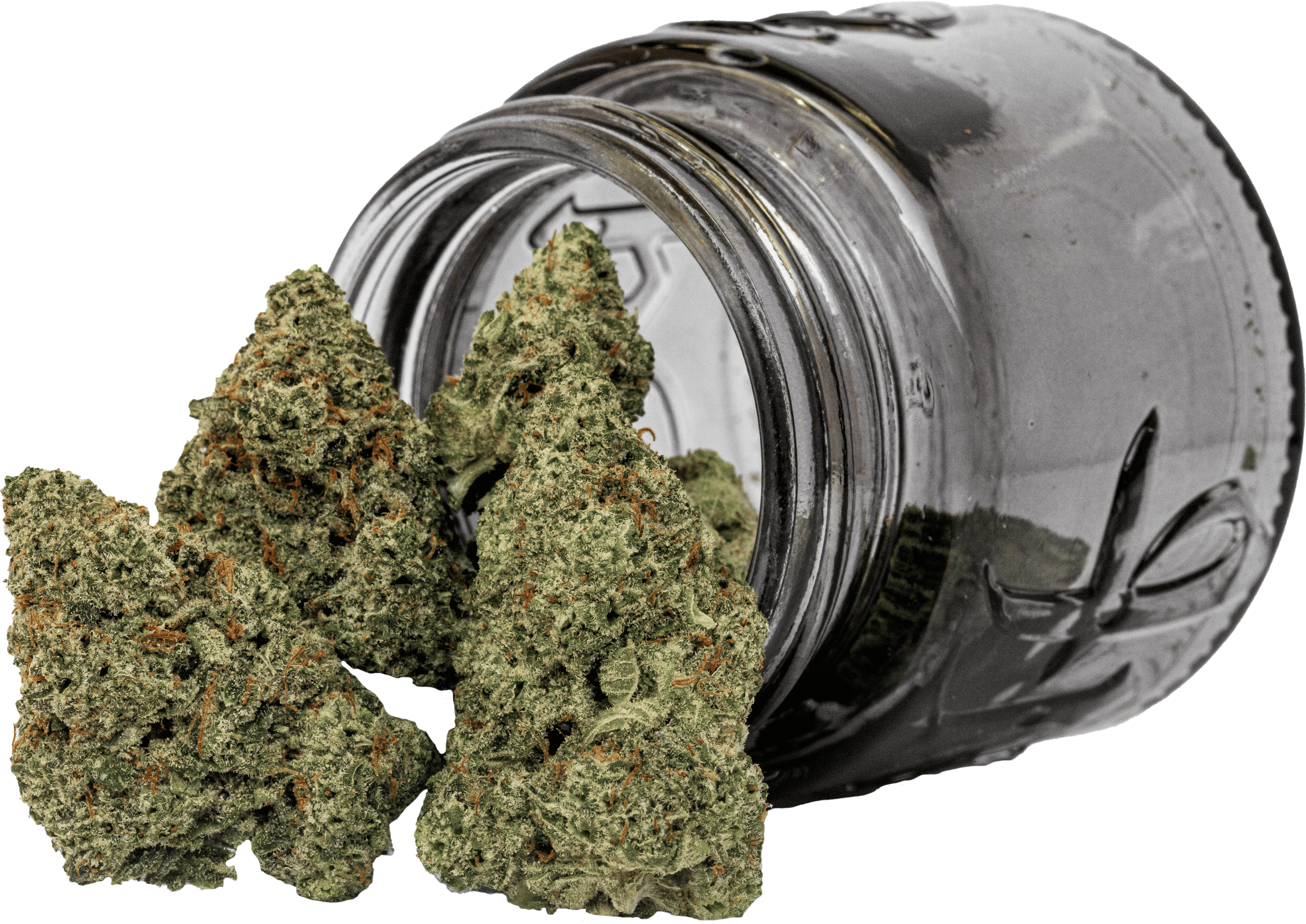 Whoa-Si-Whoa Strain Whoa-Si-Whoa Strain