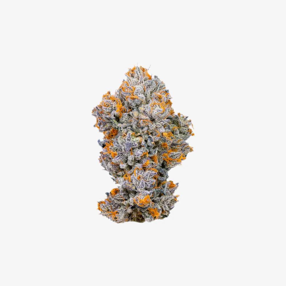 haze-exotics-platinum-reserve-thc-a-flower-purple-empire-54-detail