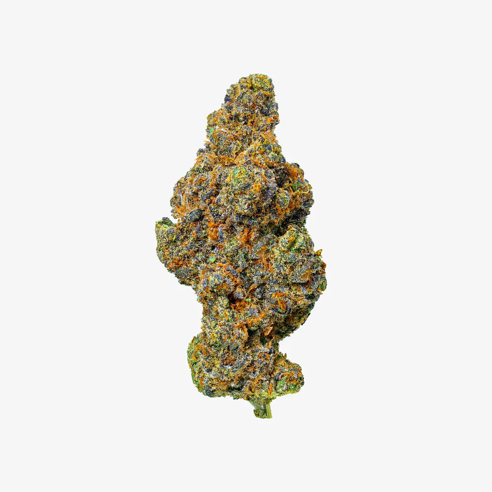 haze-exotics-platinum-reserve-thc-a-flower-purple-wizard-fuel-detail