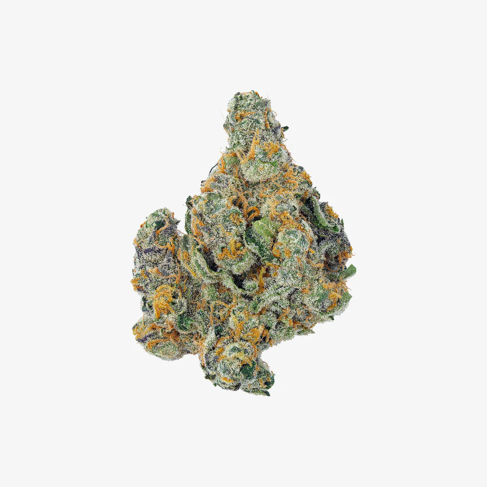haze-exotics-thc-a-flower-cheetah-piss-detail_e26efbac-5cea-48bc-a612-7cee869e2491
